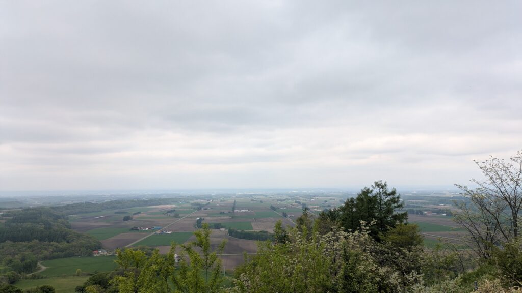 新嵐山スカイパーク展望台の景色