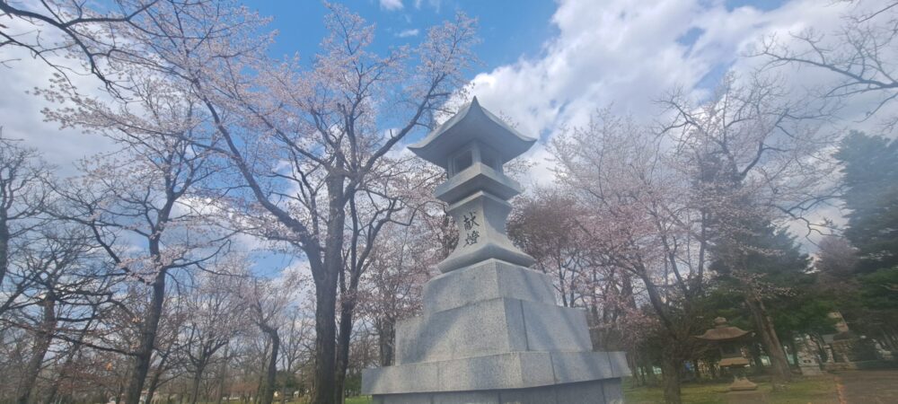 さくら咲きました