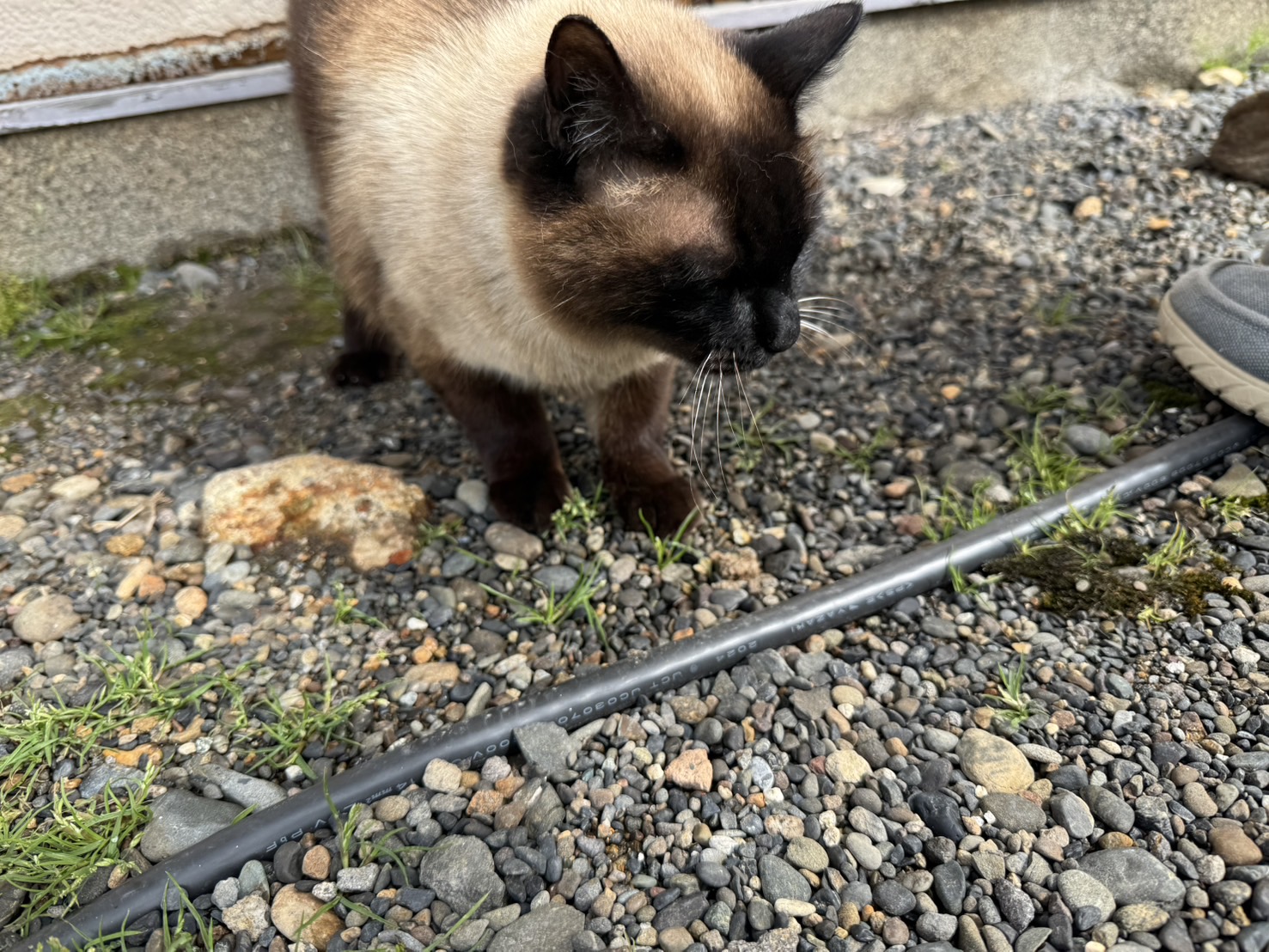 阿寒摩周国立公園②
